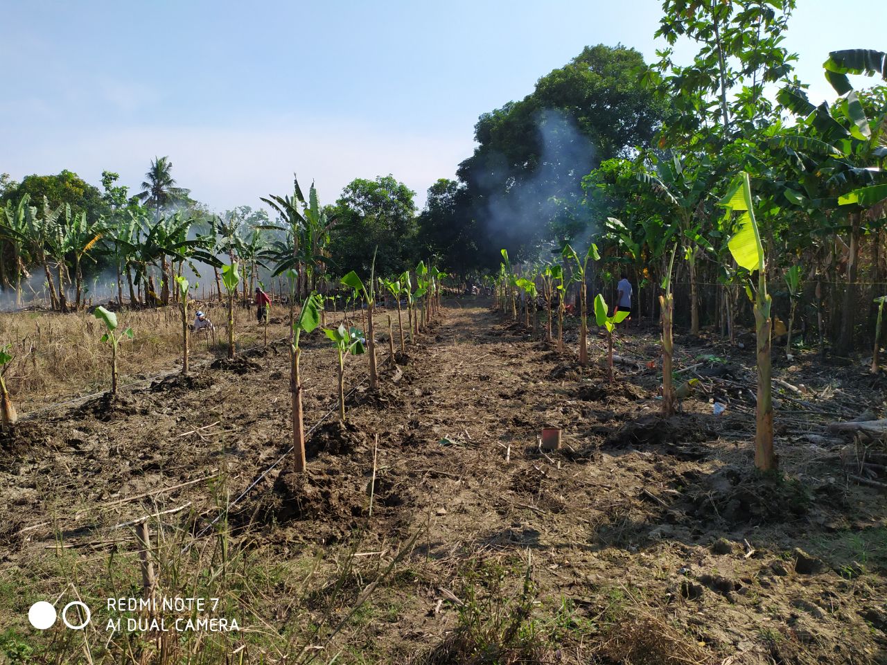 Life goes On : Farming