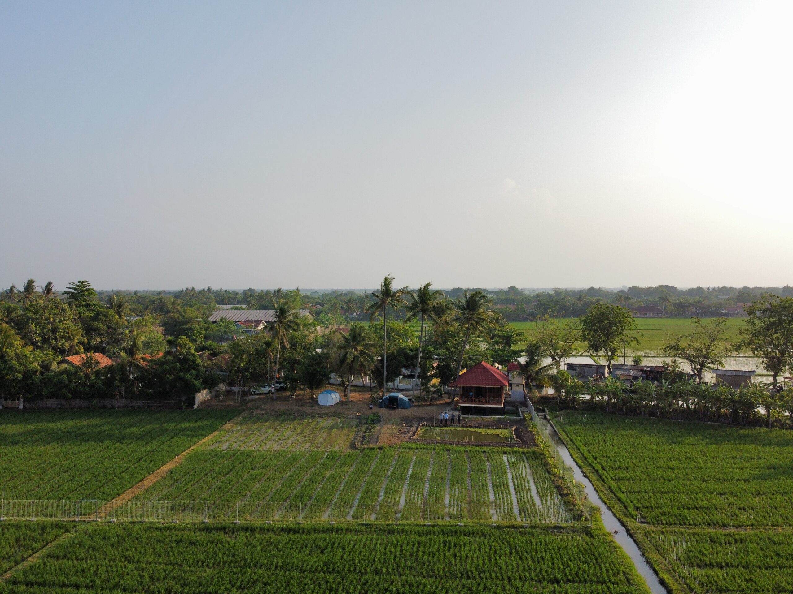 Weekend Gardening : Zeze Zahra Cabin House