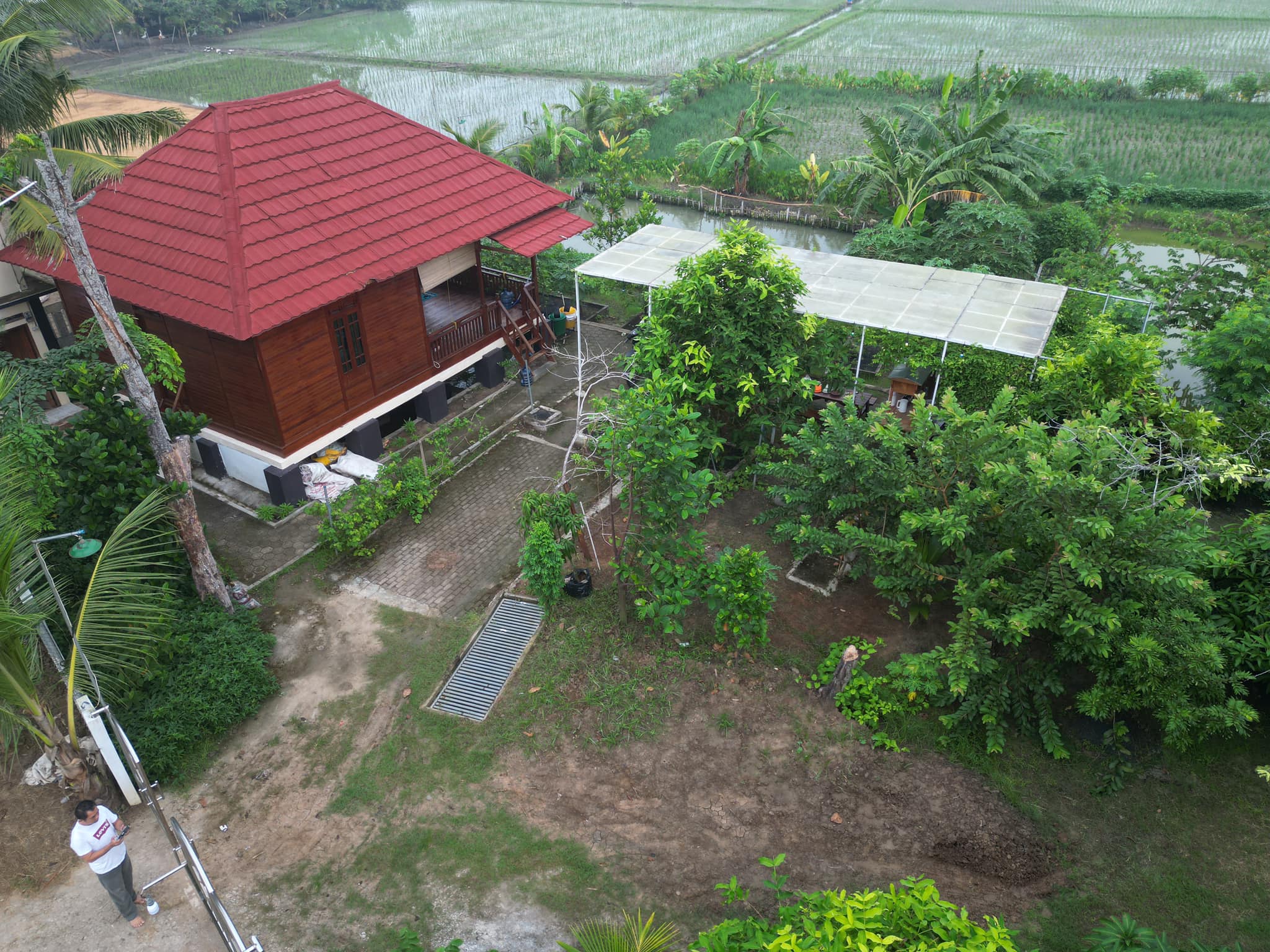Turning Rice Fields into a Garden